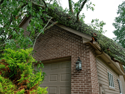 Large tree falls on home after storm, damaging the roof and gutters