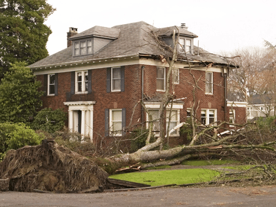 Uprooted tree falls on home after storm, causing roof damage