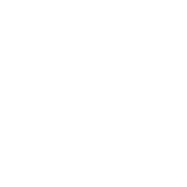 Five star review